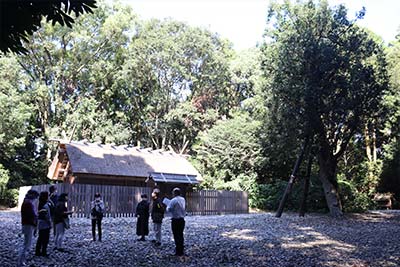 大きな楢木が目を引く神麻続機殿神社