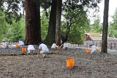 正宮を望みつつ古殿地を清掃