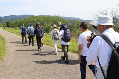 宮川の堤防上を歩く
