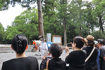 神馬牽参奉拝