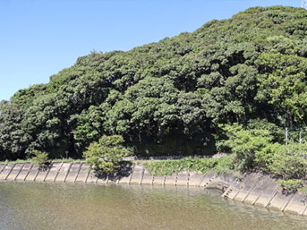 五十鈴河畔の小山の中腹に鎮まる。