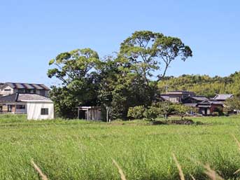 朝熊神社の五十鈴川対岸にあたる水田地帯に鎮座する。