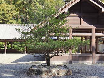 「九丈殿」は雨天時や中規模のお祭りでの摂末社の祭儀を行うための建物。あ